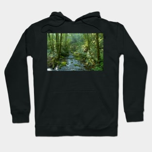 Cool forest stream Hoodie